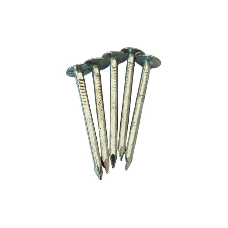 EG Roofing Nail suppliers